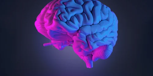 Изображение статьи «Сверхмощный процессор: Исследование тайн мозга человека»