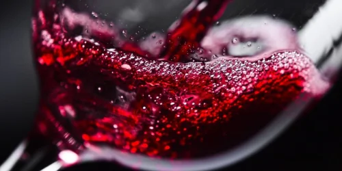 Изображение статьи «От винограда до бокала: полный гид по производству вина»