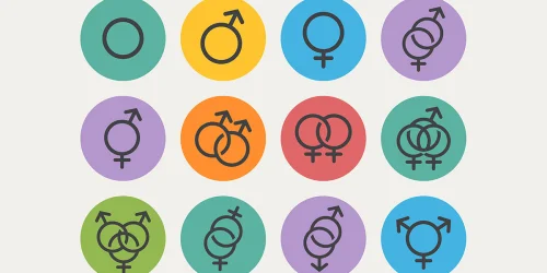 Изображение статьи «Сексуальная ориентация и гендерная идентичность»